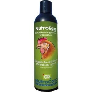 NutroEgg