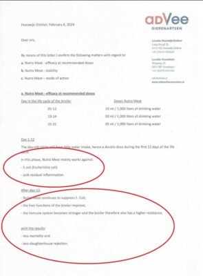 Nutro Meat supresses E.coli, works against yolk residual inflammation; improves the liver function of the broiler; strenghtens the broiler immune system; therefore has a higher resistance and less mortality will occur.