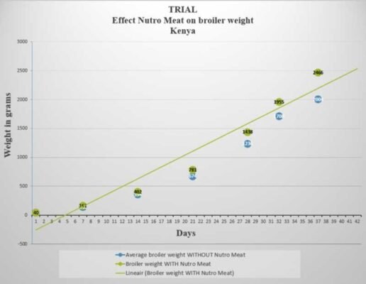 Impressive positive effect on broiler weight in Kenya: final average weight +23% higher with Nutro Meat (2466 grams) than normal final average weight (2004 grams)